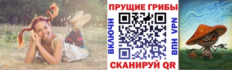 Псилоцибиновые грибы мухоморы  Купить где  Омутнинск 